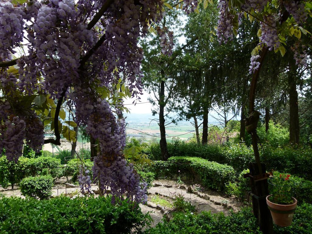 Casa Fiorita Bed and Breakfast Sant'Enea Eksteriør billede